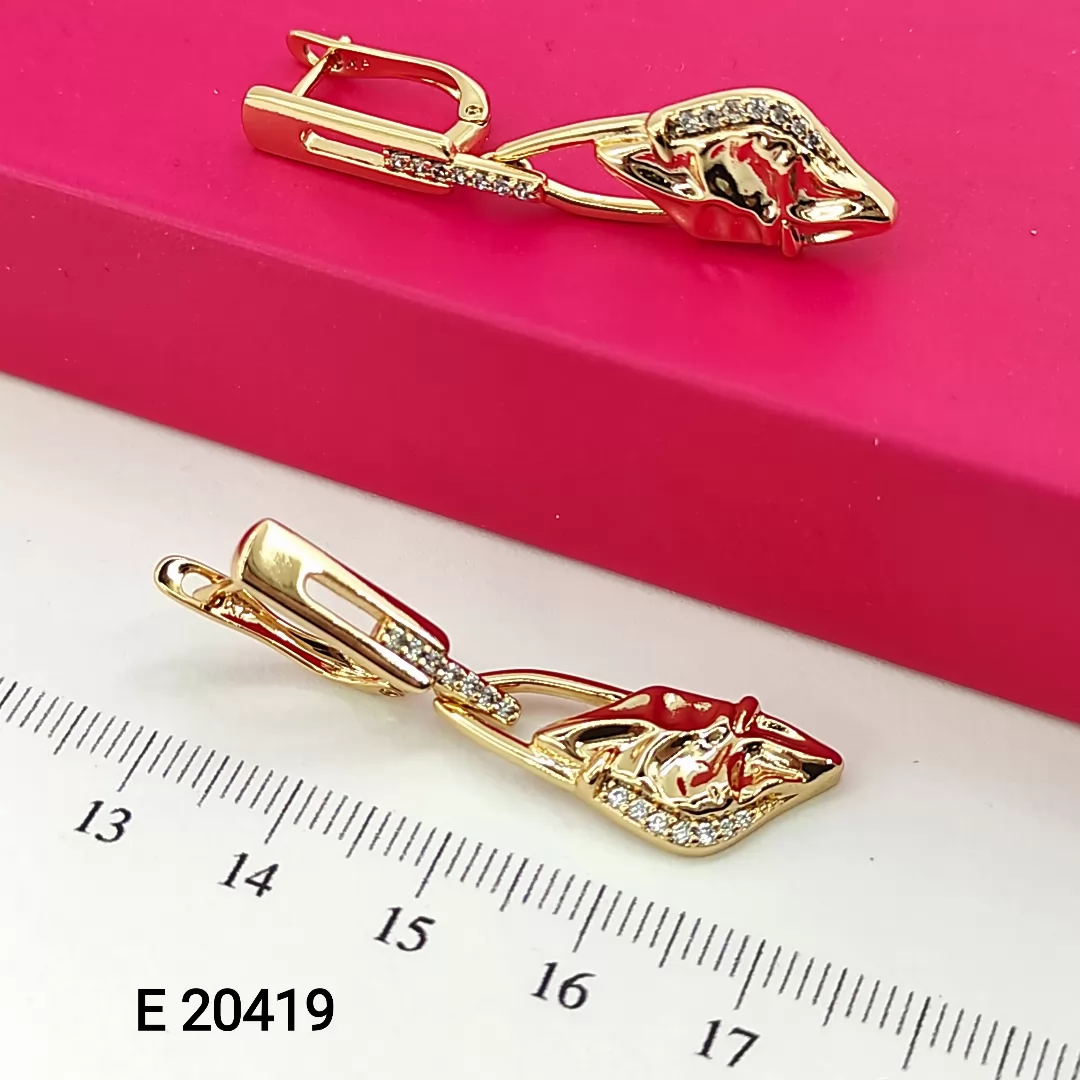 E 20419